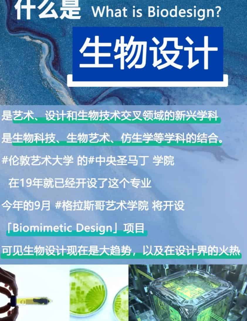 想做“艺术科学家”���来学生物设计准没错Biodesignd代写多少钱